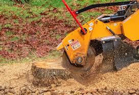 Best Tree Removal  in Iowa Colony, TX